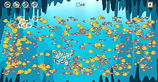 Coco's Beachquarium