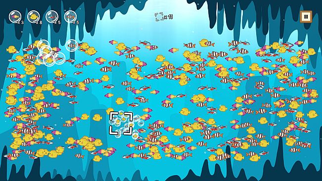 Coco's Beachquarium