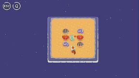 A hermit crab is finding a house