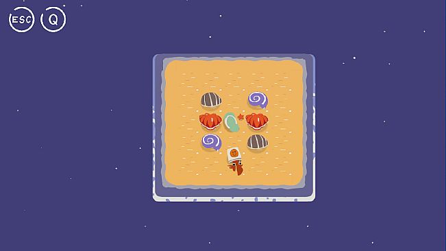 A hermit crab is finding a house