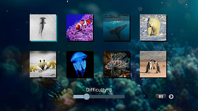 Shattered Frames 2: Under the Sea