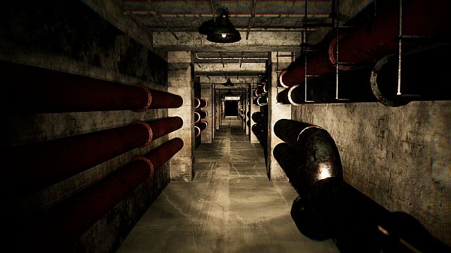 Backrooms Project: The lost file