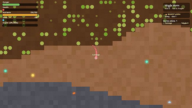 Worm Life