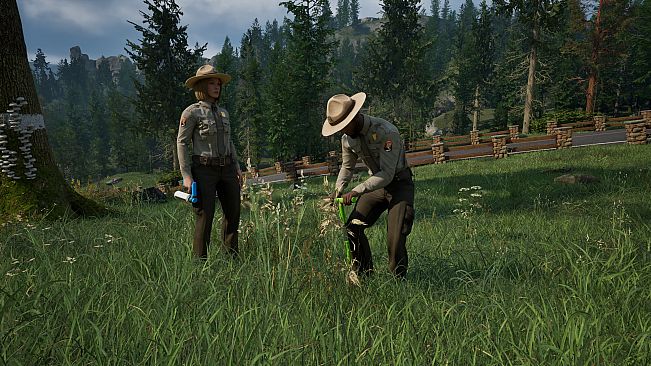 Ranger's Path: National Park Simulator