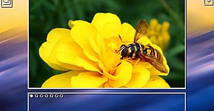 Super Jigsaw Puzzle: Generations - Bugs Puzzles