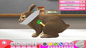 My Vet Practice - In the Country