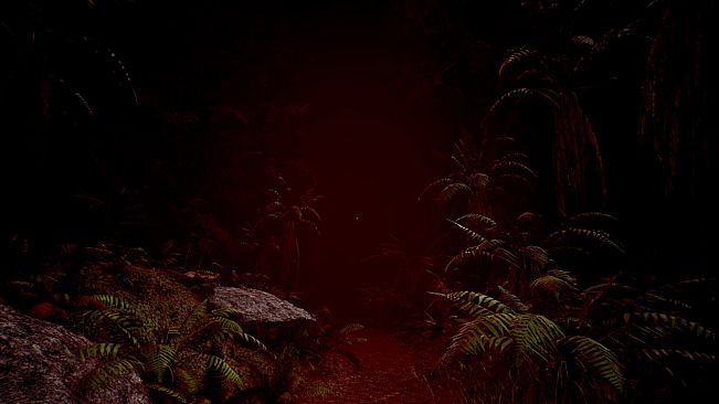 Red Light White Light