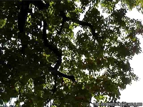 tomorrow is my birthday