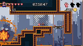 Ammo Pigs: Armed and Delicious