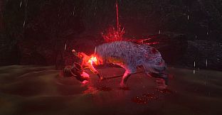 Knight of the Forgotten Realm