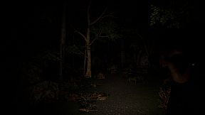 SCP Origins - Forgotten Steps