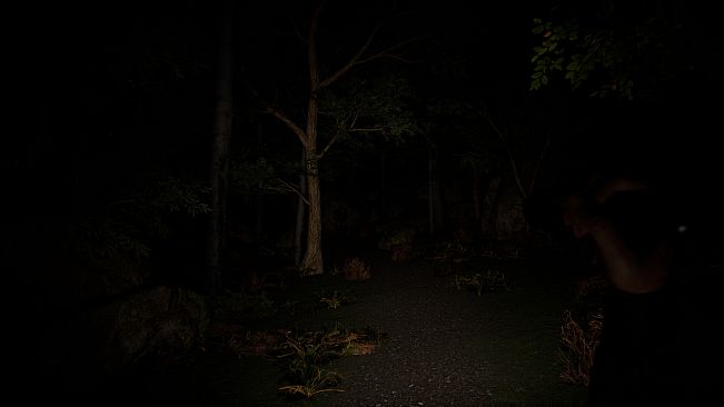 SCP Origins - Forgotten Steps