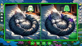 Mirror Quest Dog and Cat