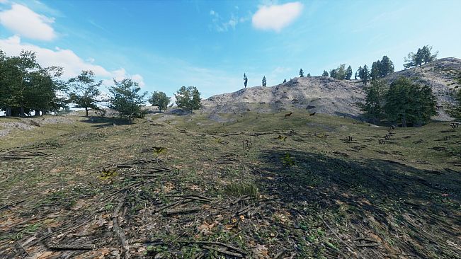 Your Journey of Survival