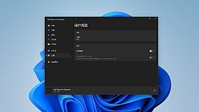 Salt Player for Windows