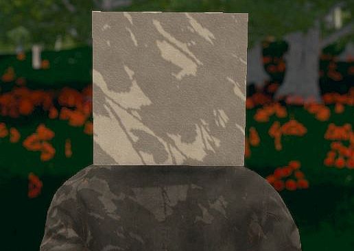 Hide and Seek - Box Head