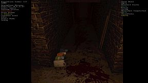 Lily's Lil Video Shop!