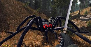 Forest spiders