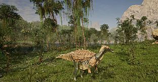 Evolution Of The Ancients