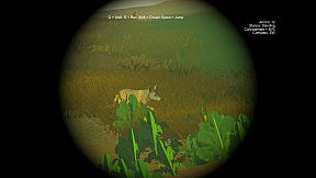 Deer Hunting - The Season