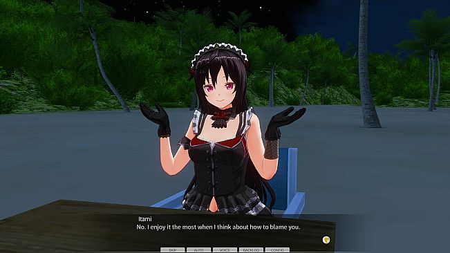 CUSTOM ORDER MAID 3D2&2.5+ X1+Vol.02