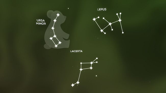Constellations: Puzzles in the Sky