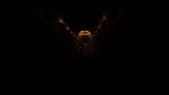 Echo of the DarkZone