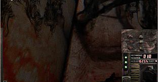 Plastic Spouse Interrogation