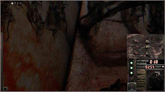 Plastic Spouse Interrogation