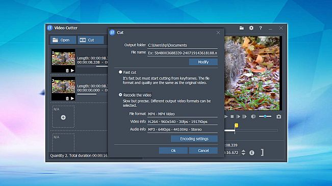 Fast video cutter joiner