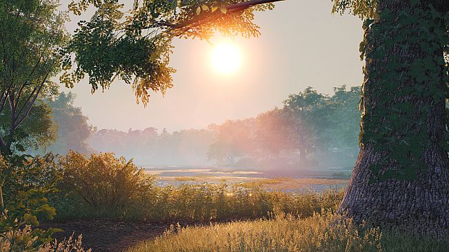 Euro Fishing: Lilies