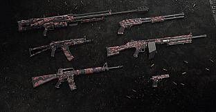 Insurgency: Sandstorm - Overrun Set Bundle