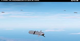 DCS: F-16C First in Weasels Over Syria Campaign by Ground Pounder Sims