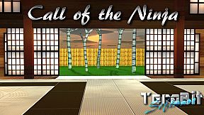Call of the Ninja!