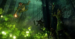 Warhammer: Vermintide 2 - Sister of the Thorn