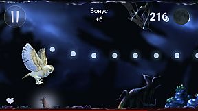 Owl's Midnight Journey