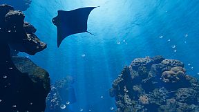 Sonorous | Deep Down Below