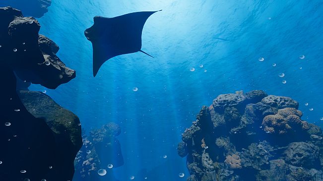 Sonorous | Deep Down Below