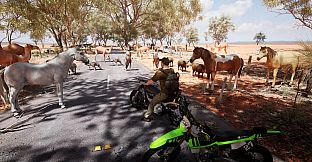 Australian Hunter