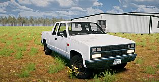 Country Drive Simulator