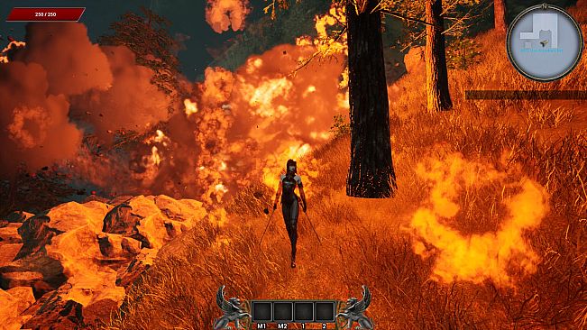 Order of the Assassin