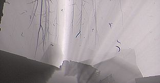 Our Elusive Suffering