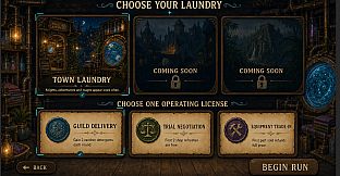 Meowgic Laundry