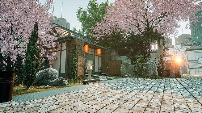 NearPrime VR - Net Burn