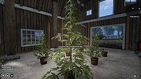 Crime Simulator: Playgrounds