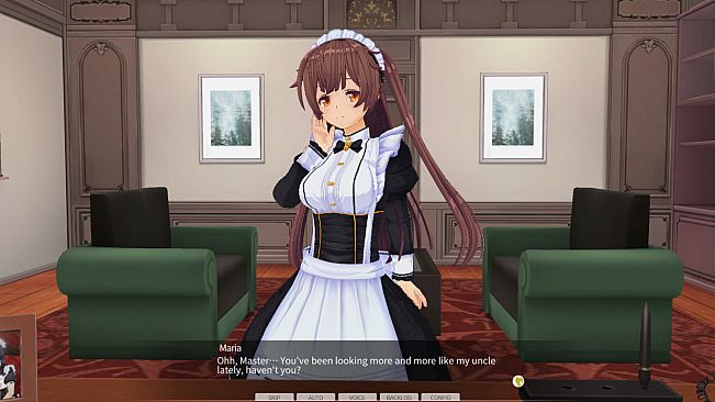 CUSTOM ORDER MAID 3D2 & 2.5 + V01