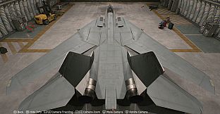 ACE COMBAT 8 - Playable Aircraft: F-14A