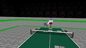 VR Ping Pong