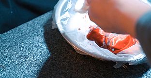 Self Reliance 自我性赖