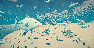 My Little Ocean